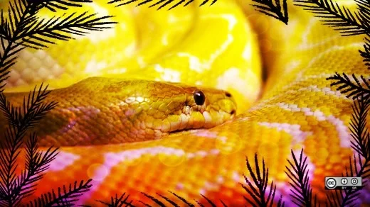 Python in the jungle Real python in the graphic jungle