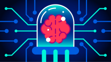 Brain on a computer screen Brain on a computer screen